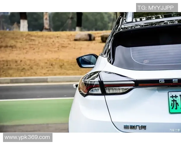 深圳排球队在洲际杯中的意识表现分析与反思