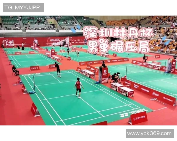 深圳羽毛球队在杯赛中的状态分析与表现评估