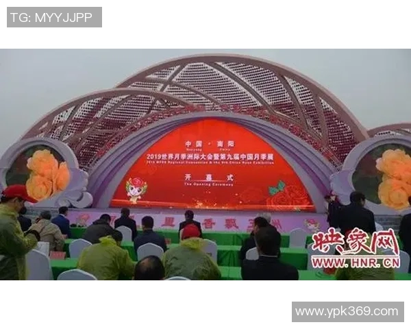 上海足球队逆袭之路洲际杯特别报道见证辉煌与坚持的传奇故事