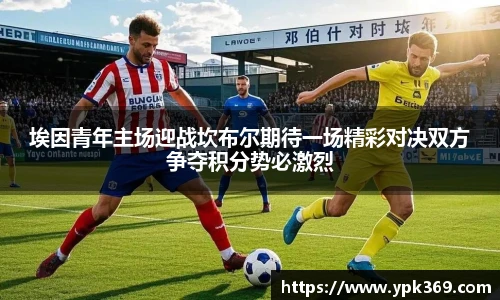 DB旗舰官网