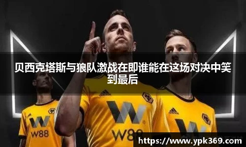 DB旗舰官网